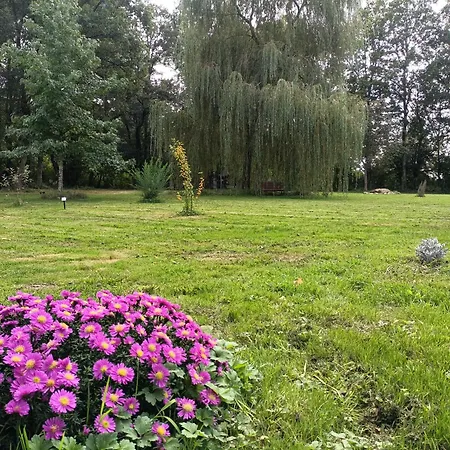 Bed & Breakfast Balneo En Bord De Foret