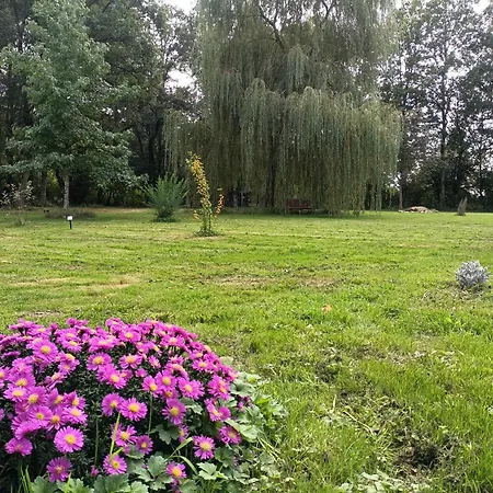 Oda ve Kahvaltı Balneo En Bord De Foret