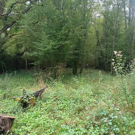 Balneo En Bord De Foret 3*