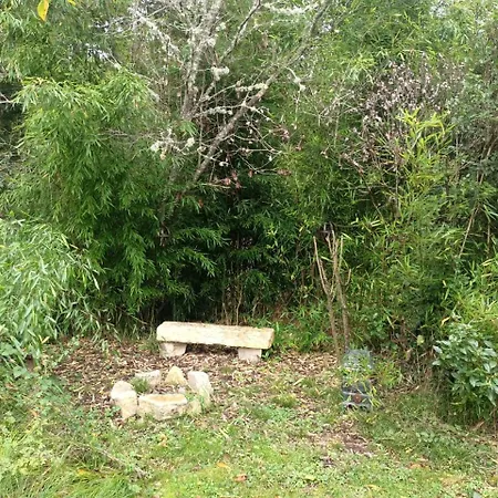 Balneo En Bord De Foret 3*