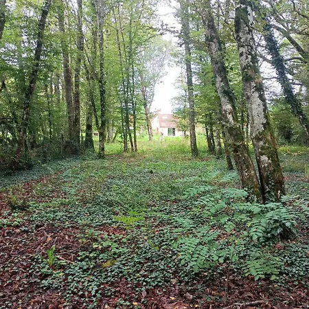 Balneo En Bord De Foret Bed & Breakfast