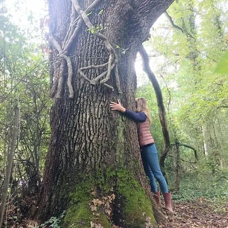 Balneo En Bord De Foret Oda ve Kahvaltı Pouzy-Mesangy