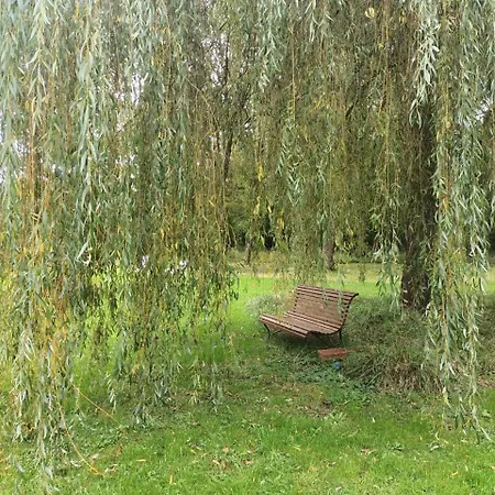 Balneo En Bord De Foret *