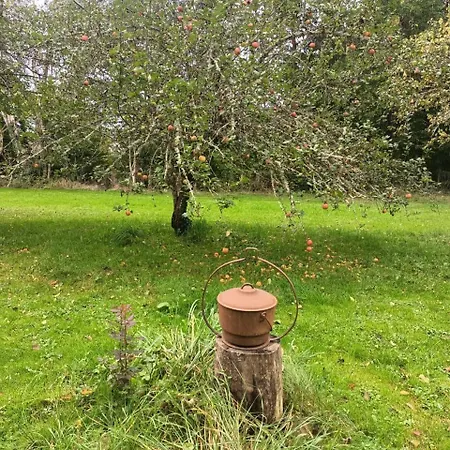 Bed & Breakfast Balneo En Bord De Foret